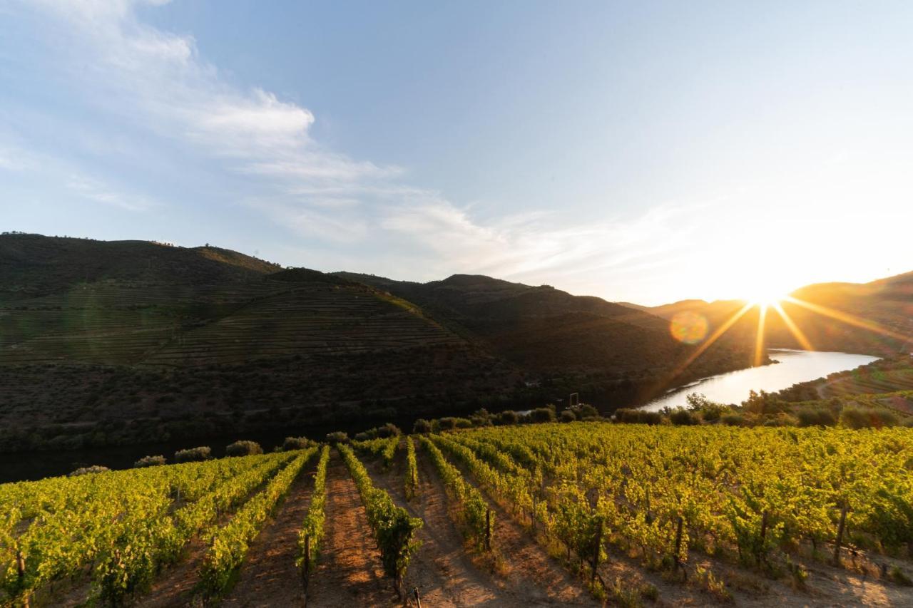 Quinta De S. Jose - Turismo Rural Ervedosa do Douro Dış mekan fotoğraf